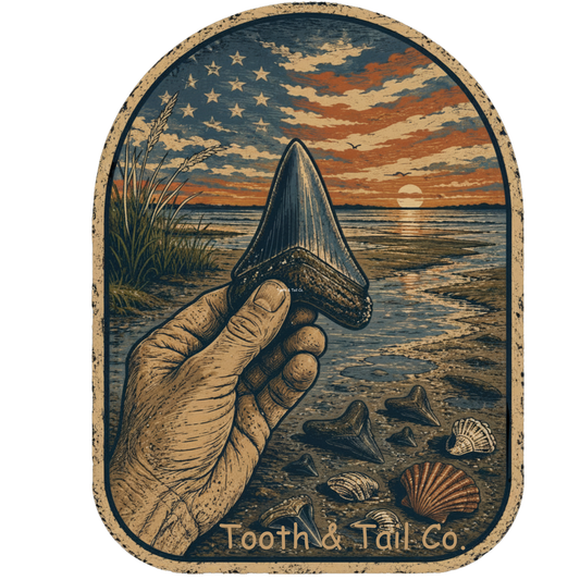 Stars, Stripes & Shark Teeth Vinyl Decal